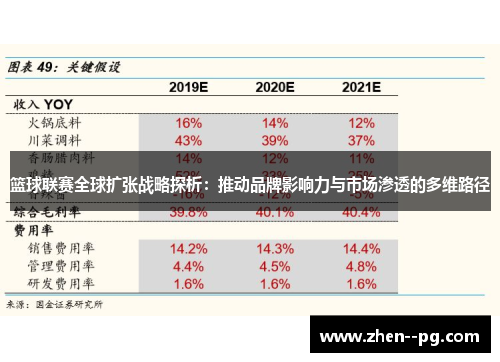 篮球联赛全球扩张战略探析：推动品牌影响力与市场渗透的多维路径