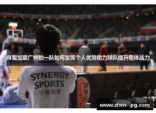 肖智加盟广州豹一队如何发挥个人优势助力球队提升整体战力