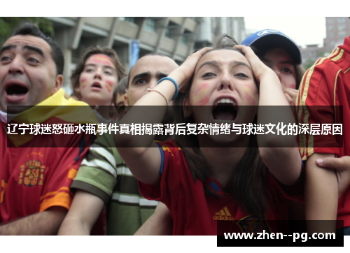辽宁球迷怒砸水瓶事件真相揭露背后复杂情绪与球迷文化的深层原因