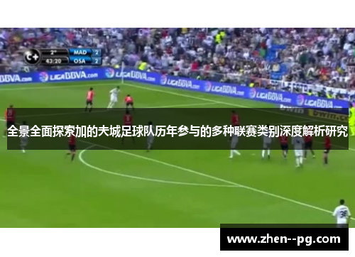 全景全面探索加的夫城足球队历年参与的多种联赛类别深度解析研究