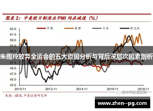 朱雨玲放弃全运会的五大原因分析与背后深层次因素剖析