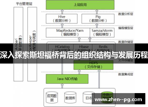 深入探索斯坦福桥背后的组织结构与发展历程