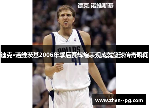 迪克·诺维茨基2006年季后赛辉煌表现成就篮球传奇瞬间